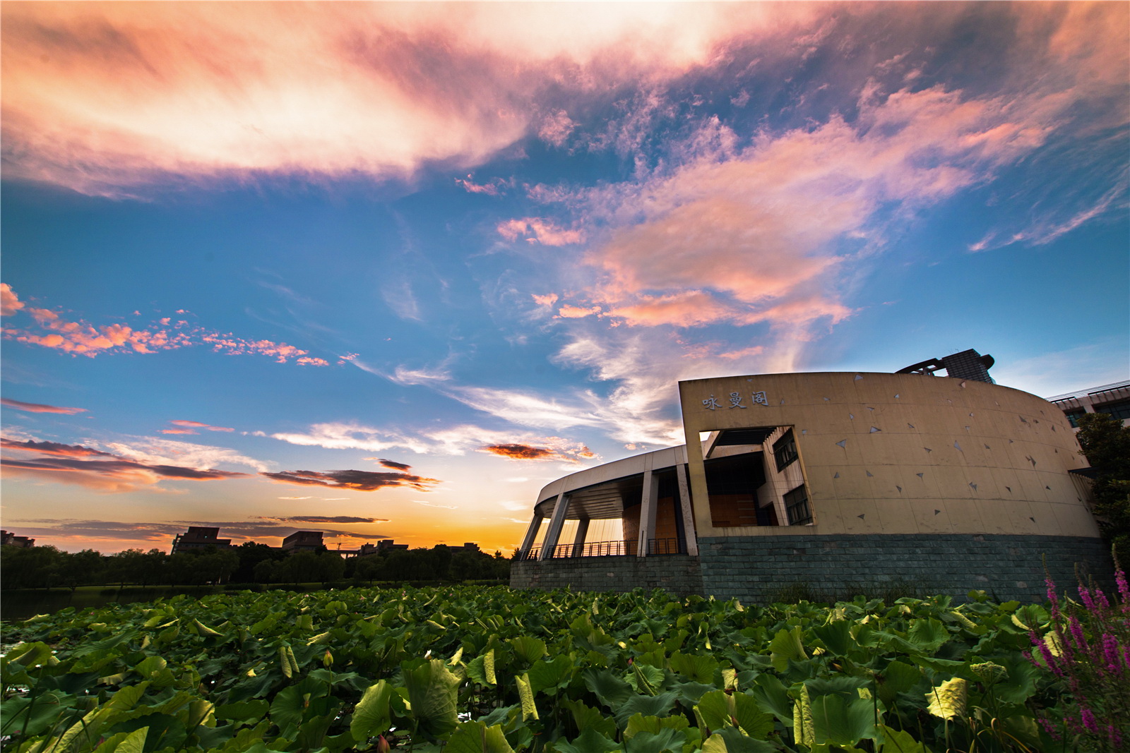 叮咚！浙大研究生新版录取通知书已送达，请注意签收！
