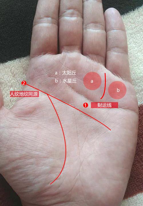 手掌偏财线 财运水星丘短竖线_达一风水网