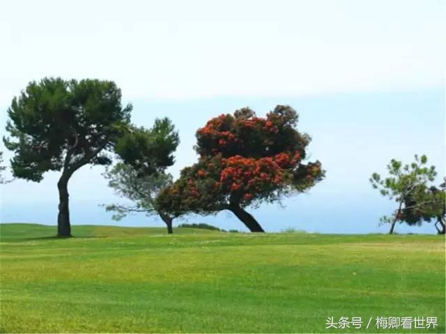 高尔夫大师赛历届冠军(Torrey Pines：上帝赐给高尔夫的礼物)