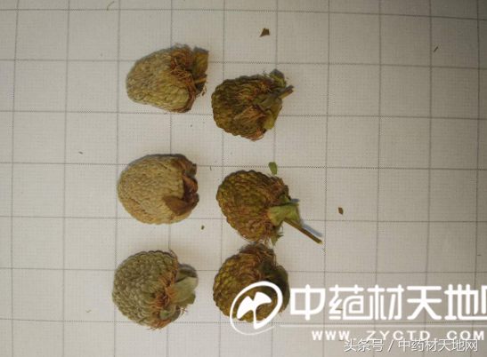 覆盆子又涨价！众多商家抢购原因为何？