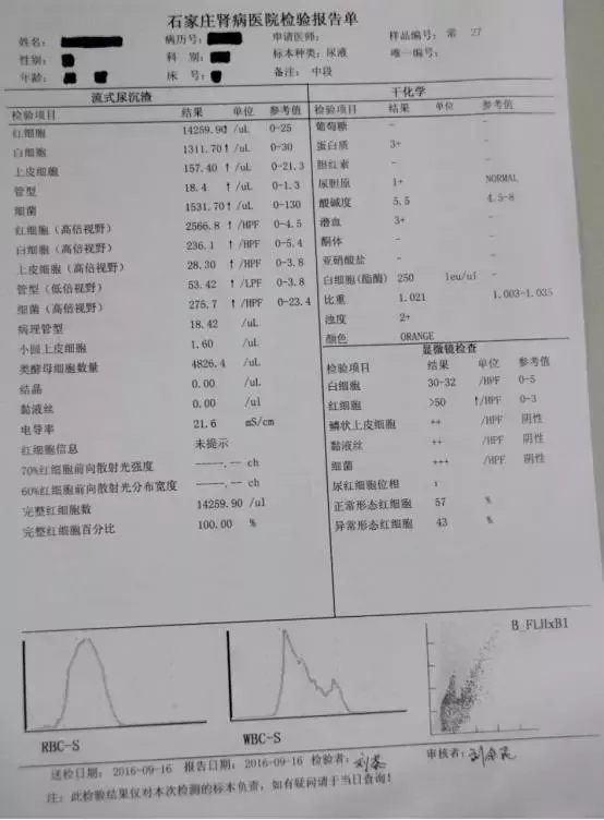 石家庄肾病医院招聘（10大肾病特检）