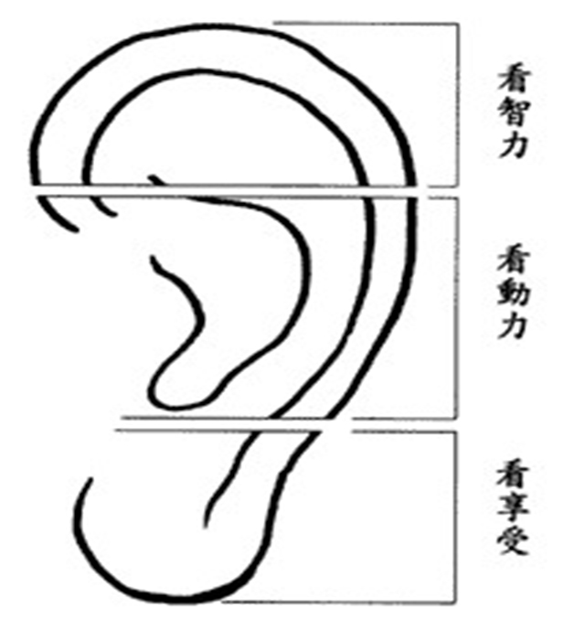 耳朵大的人真的有福气吗？