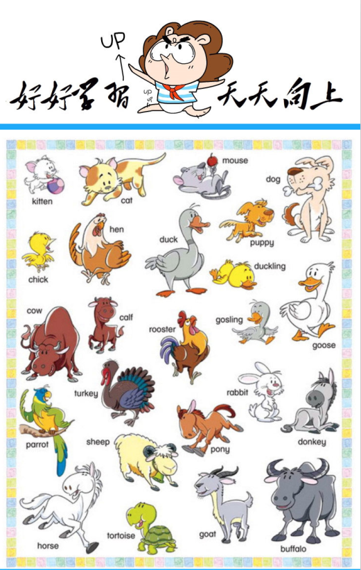 一张图告诉你常见单词怎么说