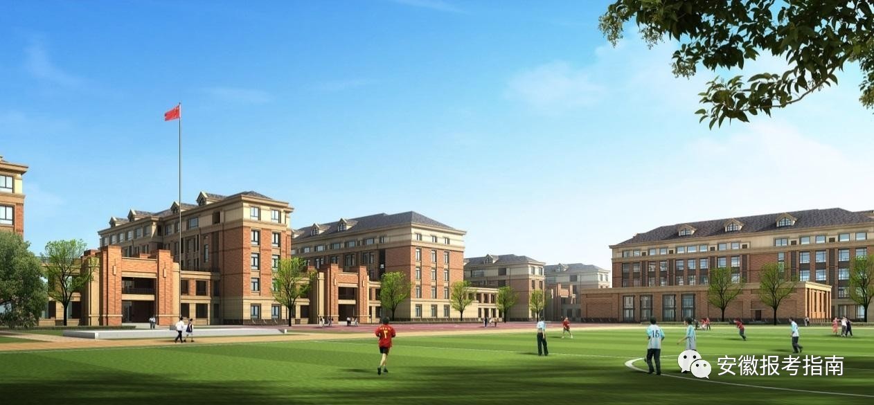 收！安徽历年高考各批次招生录取情况，看这一条就够了