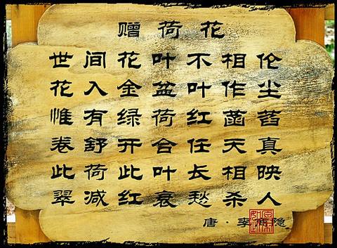 夏日来了 温故一下 夏日古诗吧 小池 赠荷花 江村 夏夜叹