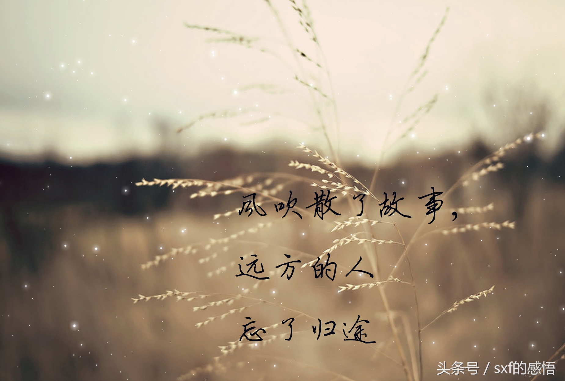 表达相见恨晚的唯美句_恨相识太晚的句子