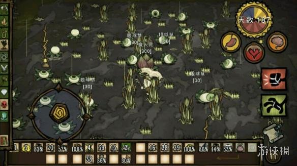 《饥荒：联机版》老奶奶快速收割芦苇图文教程