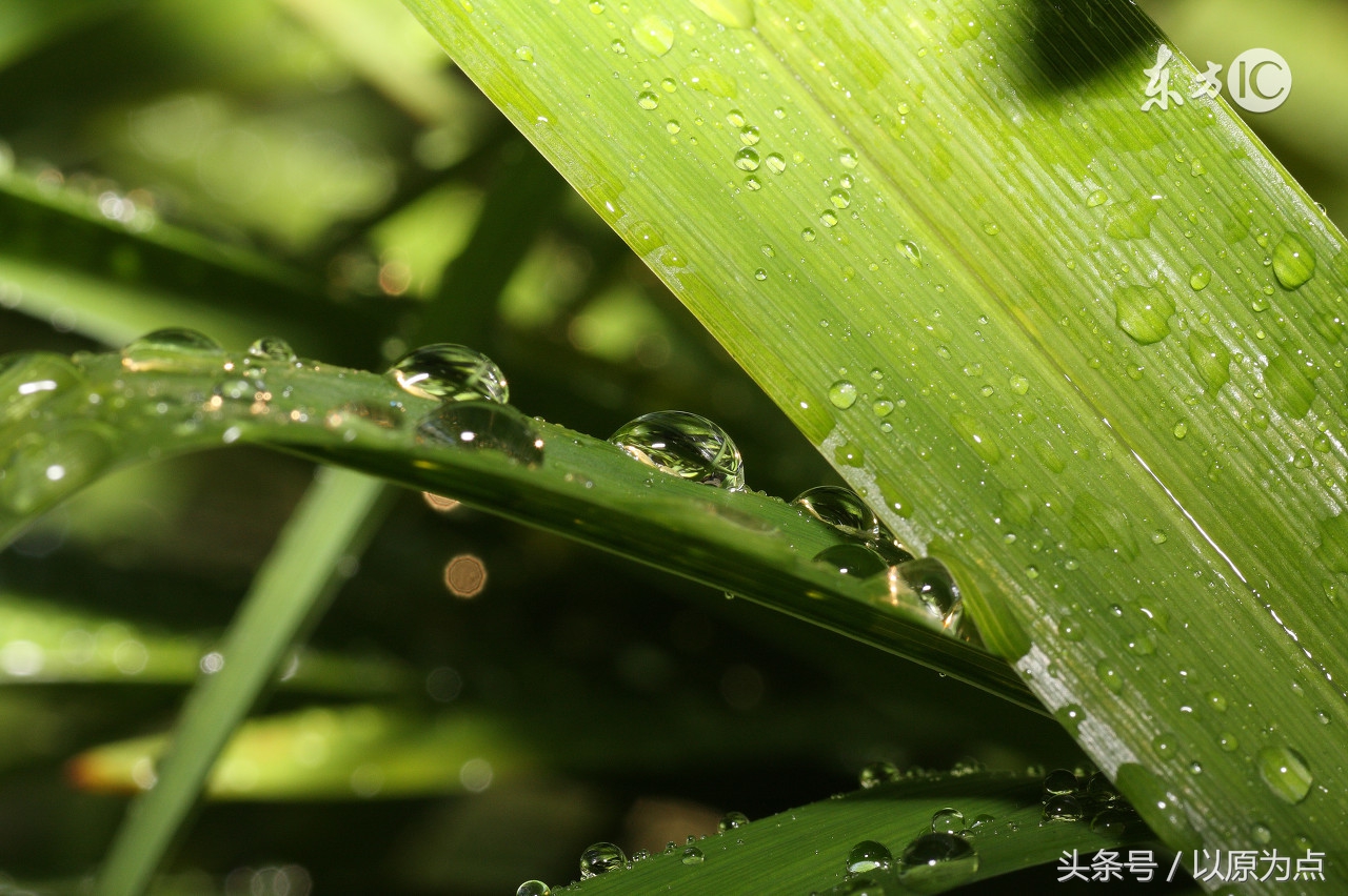 40句唯美好听的短句，摘抄下来随时可以用