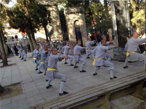 锻炼肌肉，防止挨揍——探秘嵩山少林武术职业学院