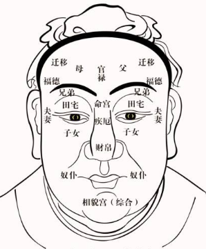 普通人可学的相术,麻衣神相!(论腰)