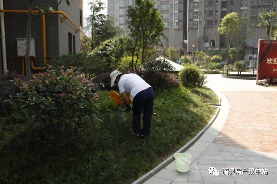 一个保洁员的工作宣言：用我双手换一方净土