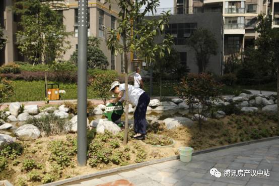 一个保洁员的工作宣言：用我双手换一方净土