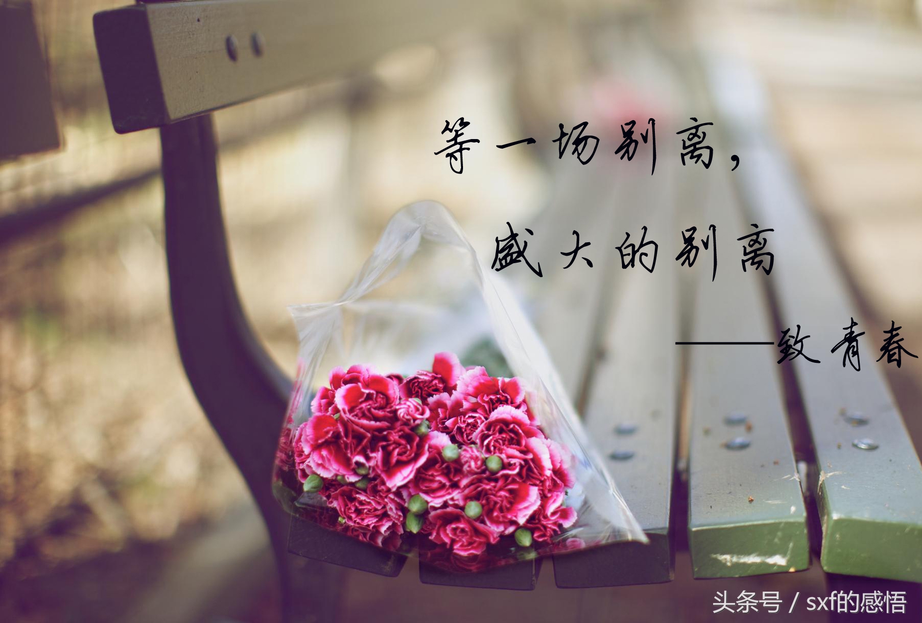 等一场别离,盛大的别离微风吹散了酒香,我还记得你所有模样