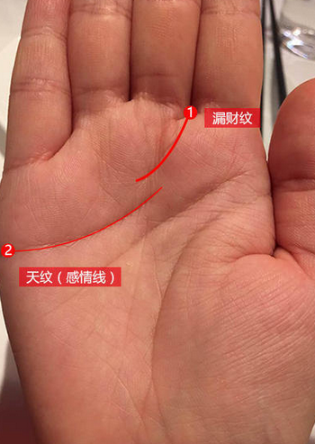 漏财之人的手相,注定与财无缘