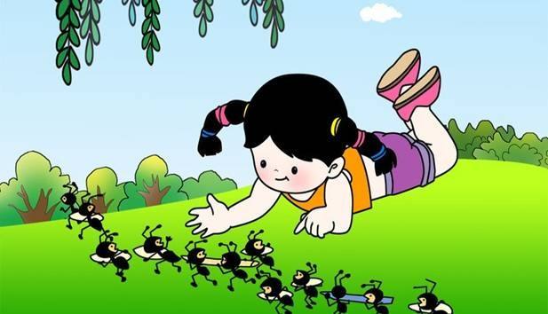 蚂蚁的分类和分工(蚂蚁的分类和分工视频)-第3张图片-巴山号