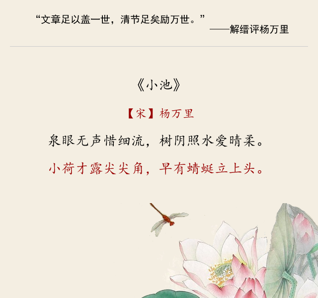 杨万里的诗，总是画面十足：“小荷才露尖尖角 早有蜻蜓立上头”