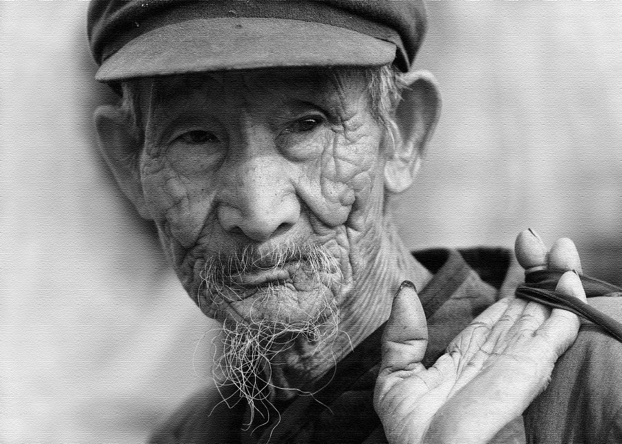 经典感恩父母语句，表达对父母的深切感激之情。