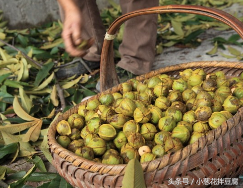 乡下山里值钱的宝贝，最后一样一两斤都可以换辆小轿车