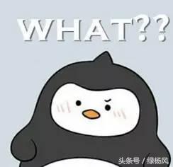 重磅！2017年江苏高考语文试卷考到两位扬州大学者