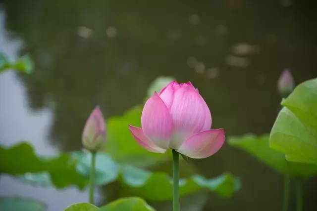 考生注意！福州大学2017年计划招生5880人 新增3个专业