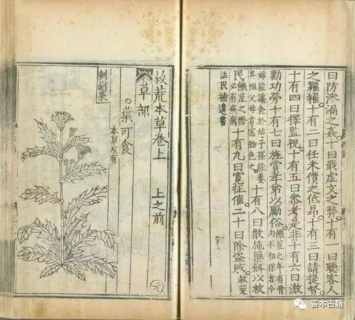 救荒(huang)本草是什么代（救荒(huang)本草是什么代朱编纂的）-大连信息(xi)网