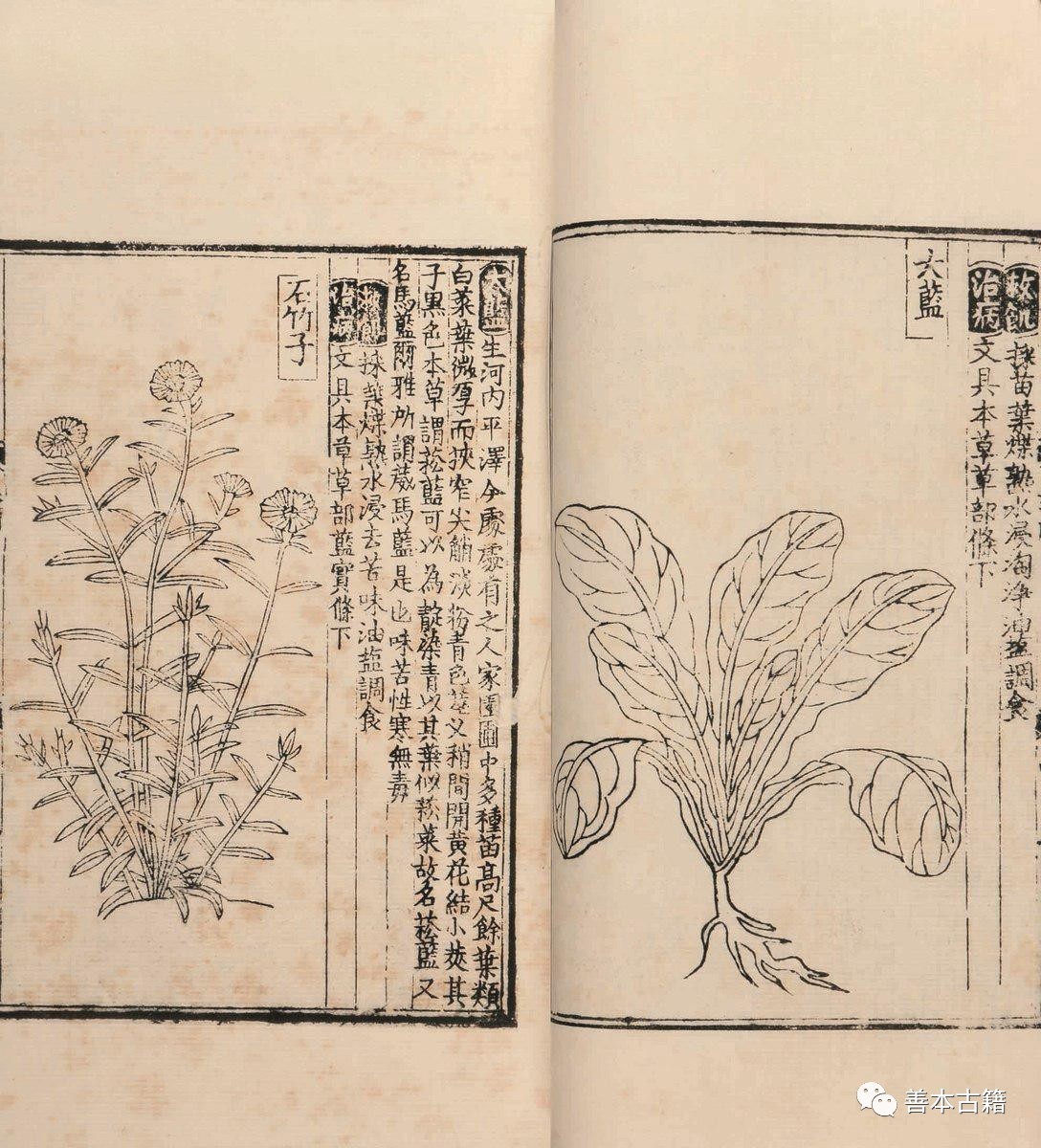 救荒(huang)本草是什么代（救荒本草是什么(me)代朱编纂的）-大(da)连信息网