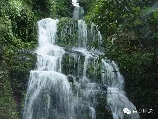 一直往南方开，来到云南屏边，看不完的风景，吃不完的美食！