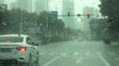 上海港湾学校2017校友会｜在珠海隆重举行