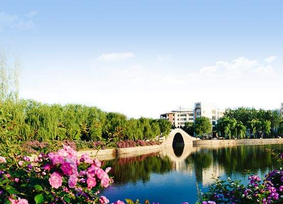 开学了，去青岛最美大学去逛一逛吧，个个堪比5A级景区