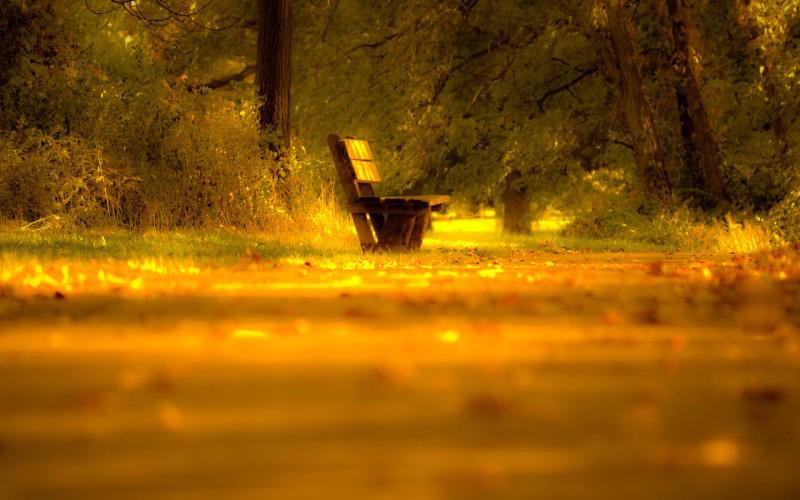 《炼字、炼句、炼意、炼气》闲谈