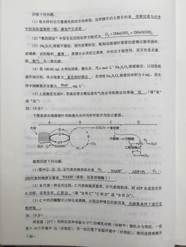 快讯，2017年陕西高考真题及答案（全）