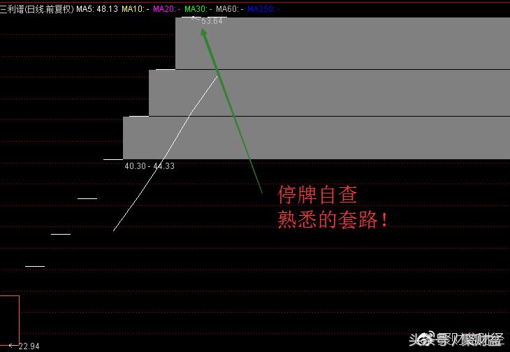 力盛赛车停牌(次新股大跌——又是停牌大法惹的祸？)