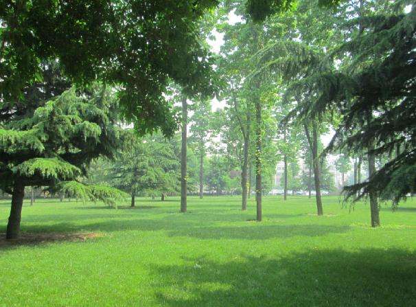 开学了，去青岛最美大学去逛一逛吧，个个堪比5A级景区