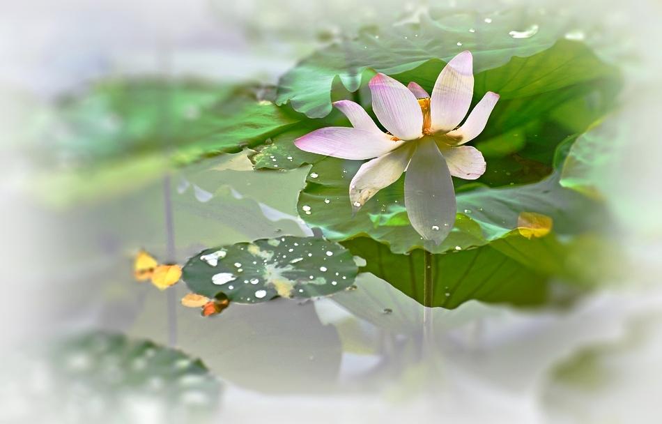 《炼字、炼句、炼意、炼气》闲谈