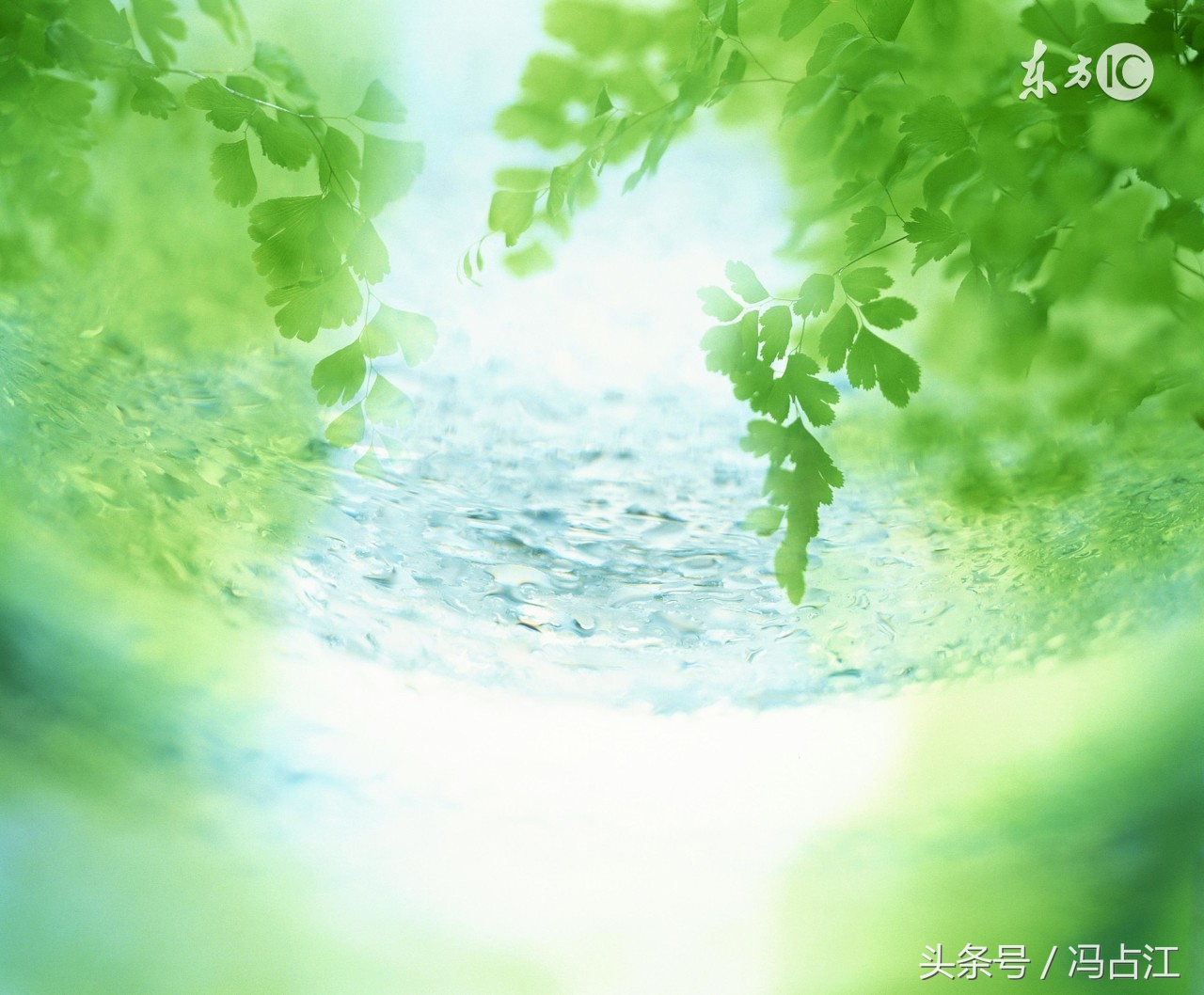 高清版：2017年江苏高考英语试题