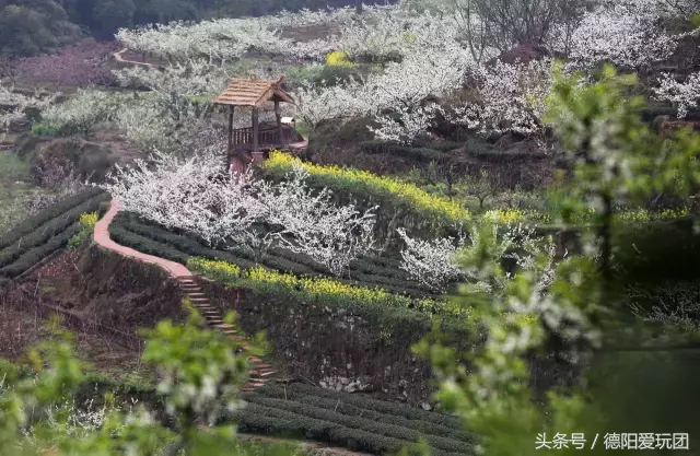 德阳一日游最佳景点（德阳一日游景点推荐）-第8张图片-华展网