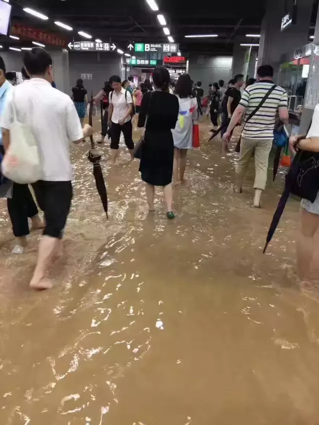 每逢大雨念敬腾，从雨神萧敬腾股神郑少秋开8明星的“超能力”