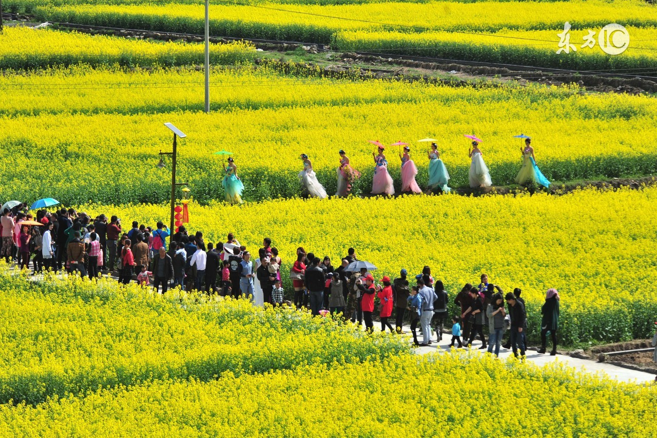 描写农村田园风光优美诗词描写乡村田园风光的文章