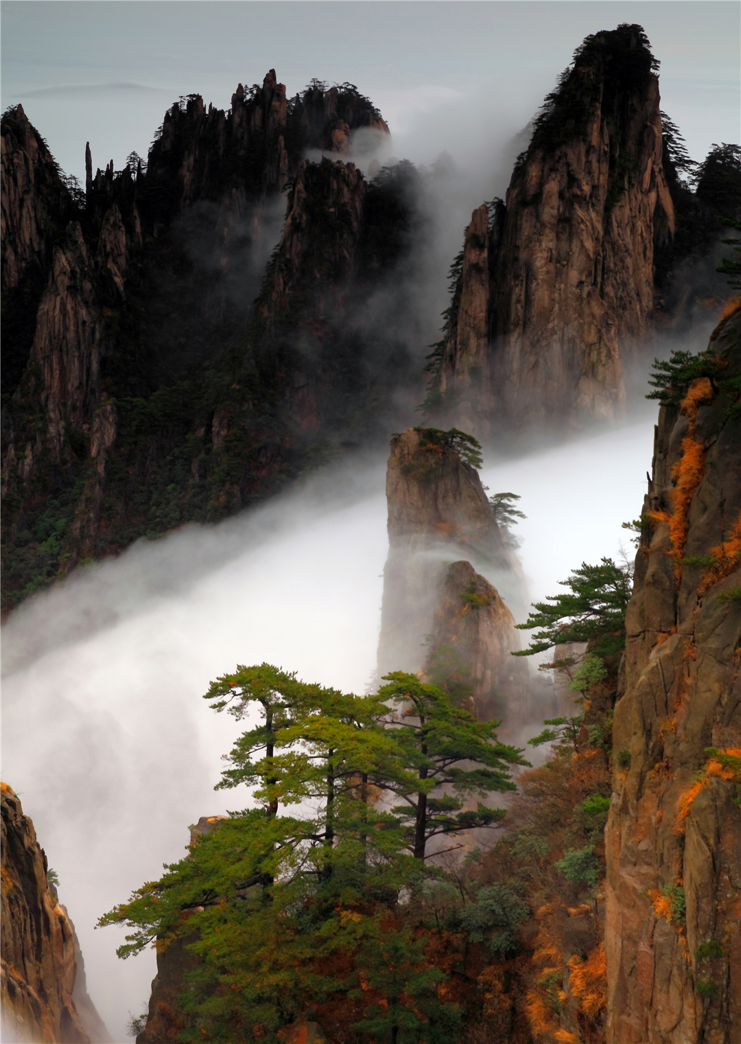 松树照片 山水风景图片