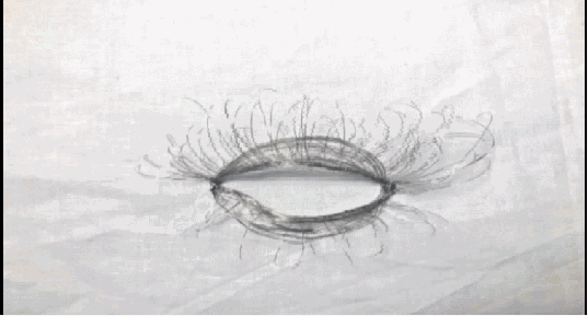 2017四川音乐学院动画专业毕设作品完整合辑！