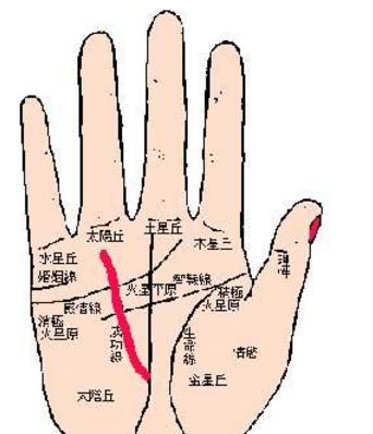 手相有这种特征的人，必定是有钱人，注定是有福之人