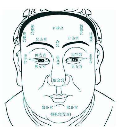 阳明师傅独家口述:面相图解