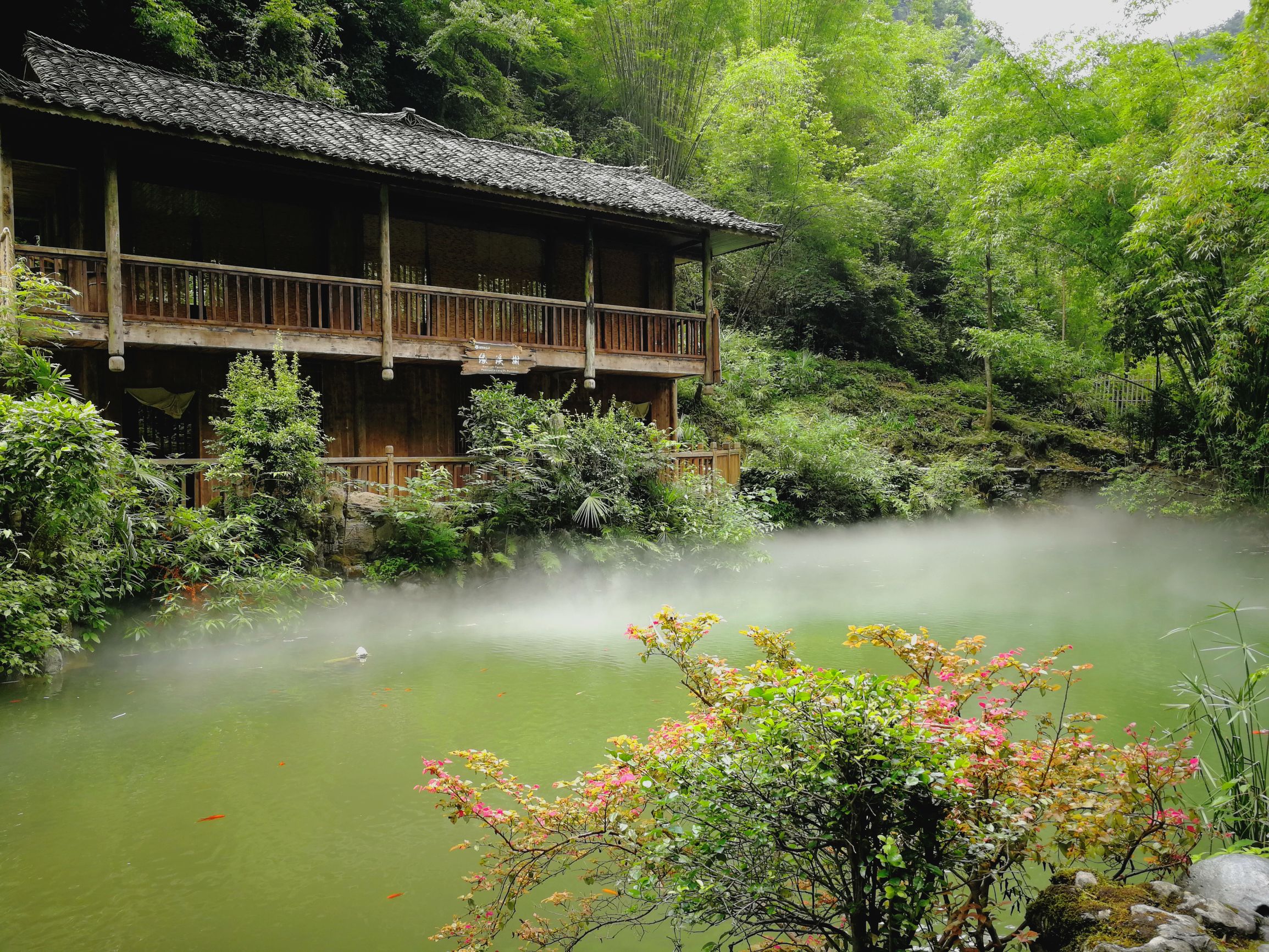 读田园诗人陶渊明笔下的《桃花源记》，寻找梦中的桃花源