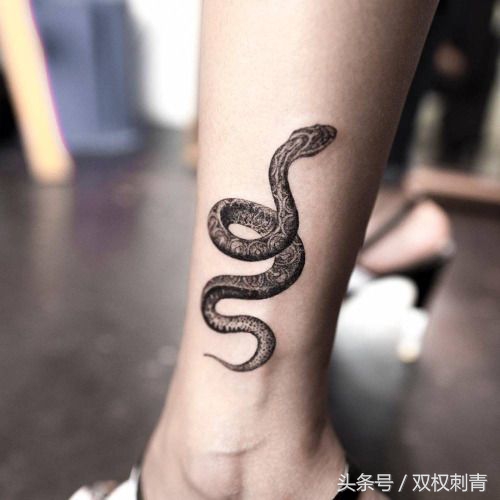 属蛇的适合纹什么纹身_达一风水网