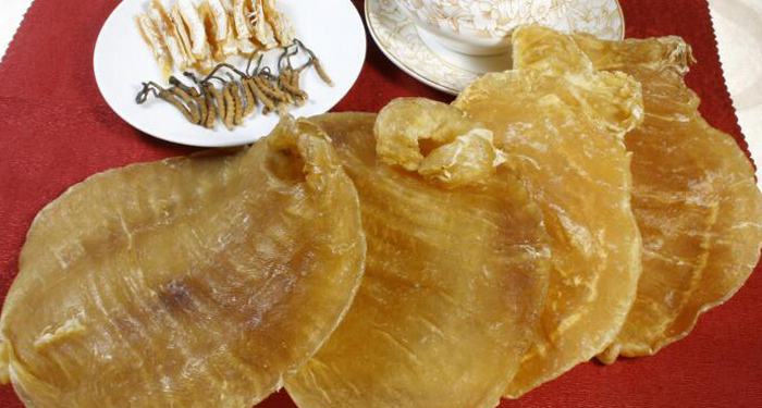 花胶是鱼泡吗 花胶怎么吃最有营养