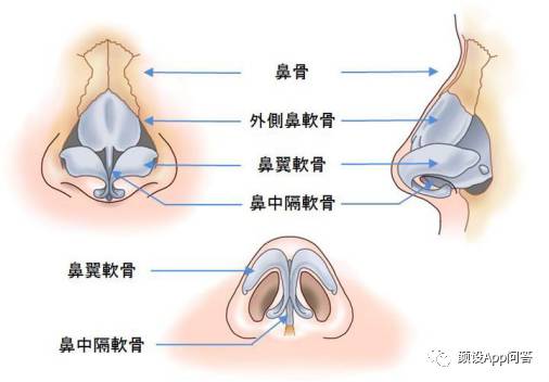 鼻子决定演技？宇文玥和燕洵世子实力大比拼！