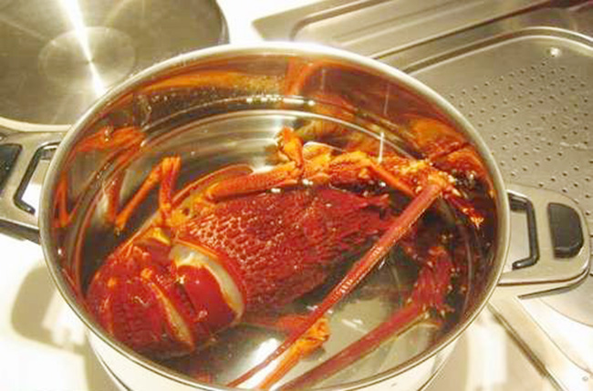 澳洲大龙虾的做法（鲜嫩味美的澳龙做法大全）
