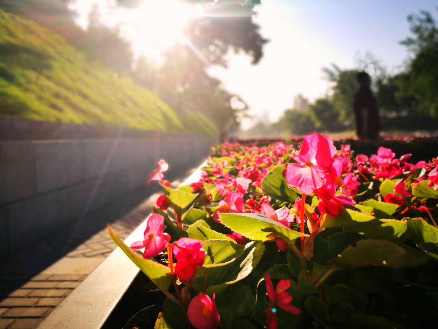 高考快讯：广西、重庆、天津、江西、宁夏、安徽、北京、河北2017年高考分数线公布