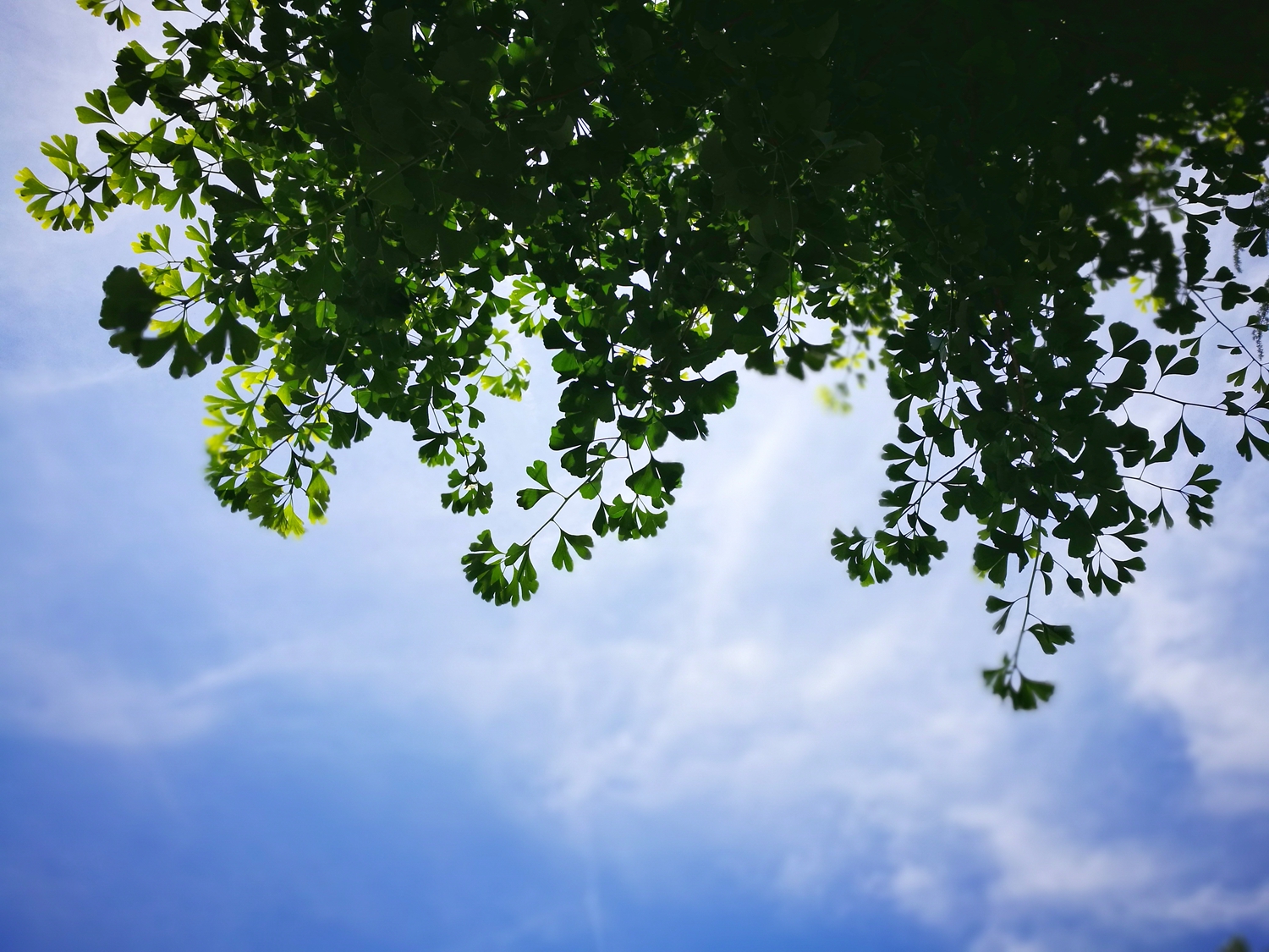 沈阳2017高考分数线（高考快讯）