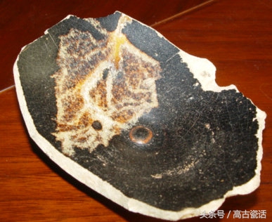 高古瓷：吉州窑系列——树叶盏标本56(5）